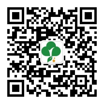村莊牌坊圖片